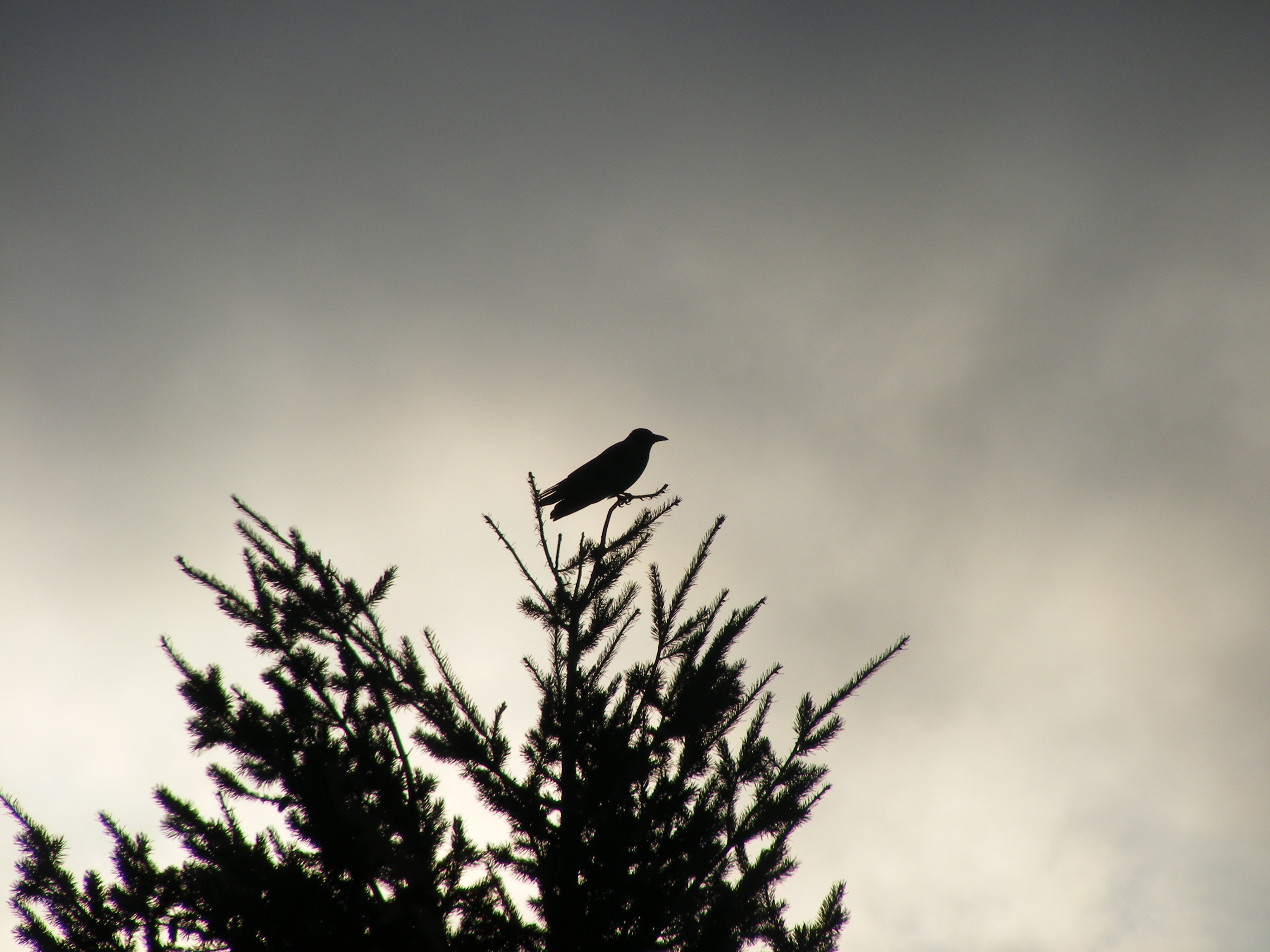 DSCF4059.JPG