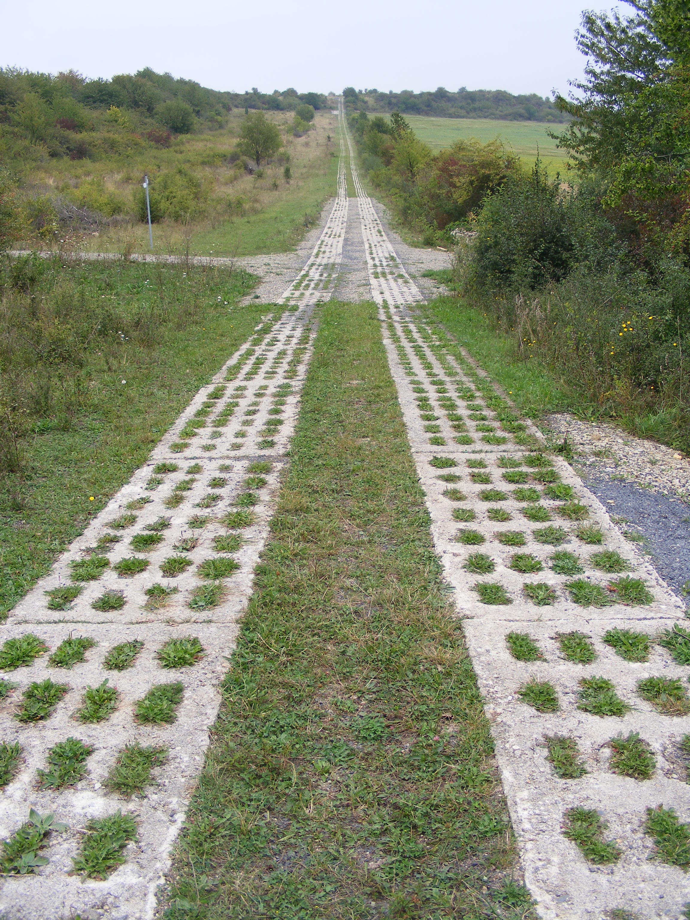 dscf3175.jpg