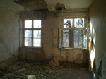 20110320_005.jpg
